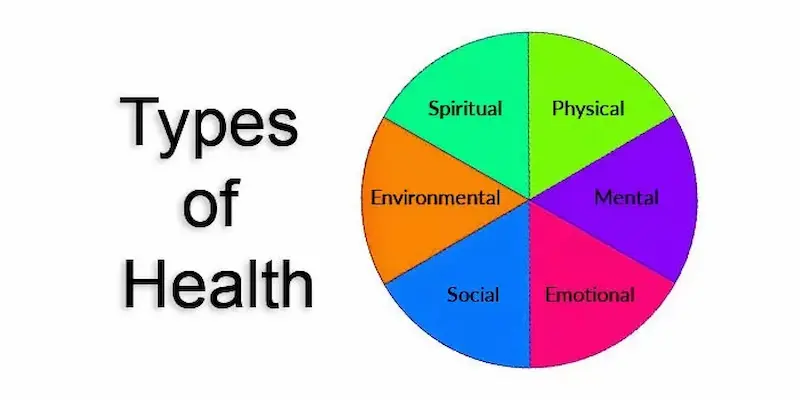 main types of health research
